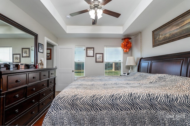 bedroom with ceiling fan, multiple windows, and a raised ceiling