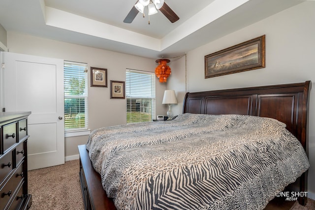 carpeted bedroom featuring a raised ceiling, ceiling fan, and multiple windows