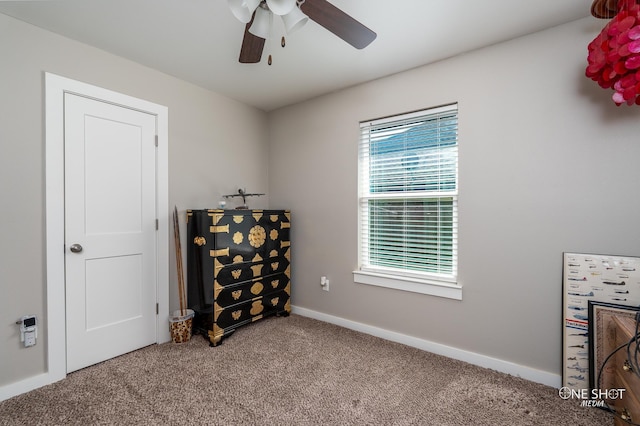 bedroom featuring ceiling fan, carpet floors, and multiple windows