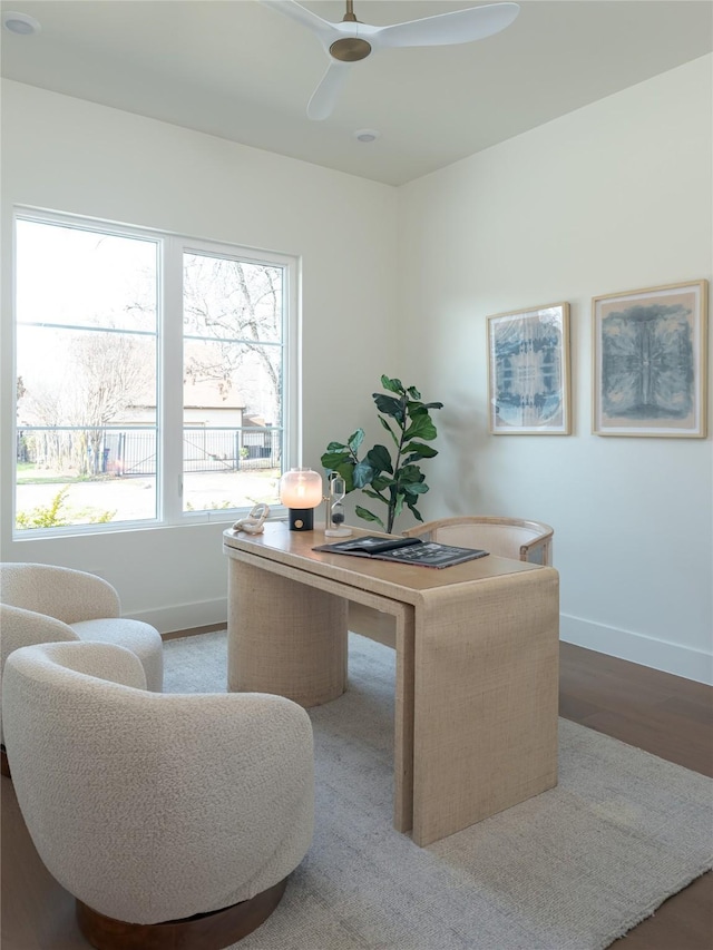 office featuring ceiling fan and wood-type flooring