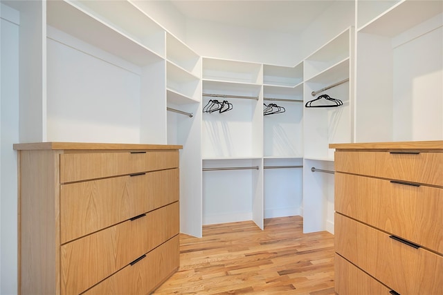 spacious closet featuring light hardwood / wood-style flooring