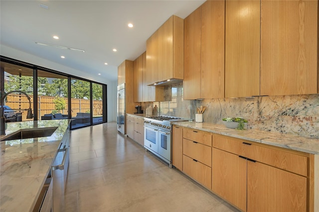 kitchen featuring light stone countertops, sink, premium appliances, and tasteful backsplash