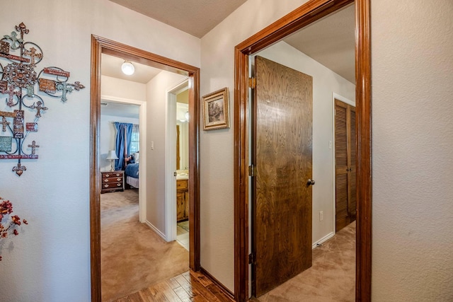 hallway featuring light hardwood / wood-style flooring