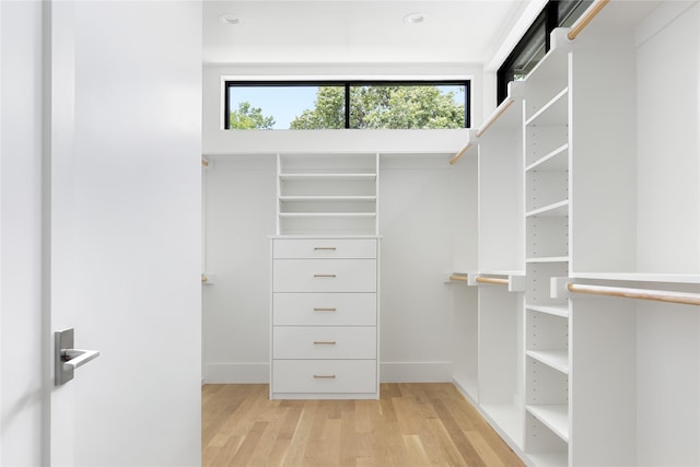 walk in closet with light wood-type flooring