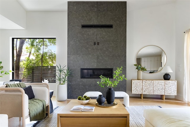 living room featuring a large fireplace and light hardwood / wood-style floors