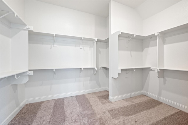 spacious closet featuring light colored carpet