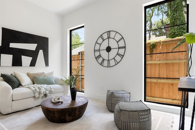 living room featuring hardwood / wood-style floors