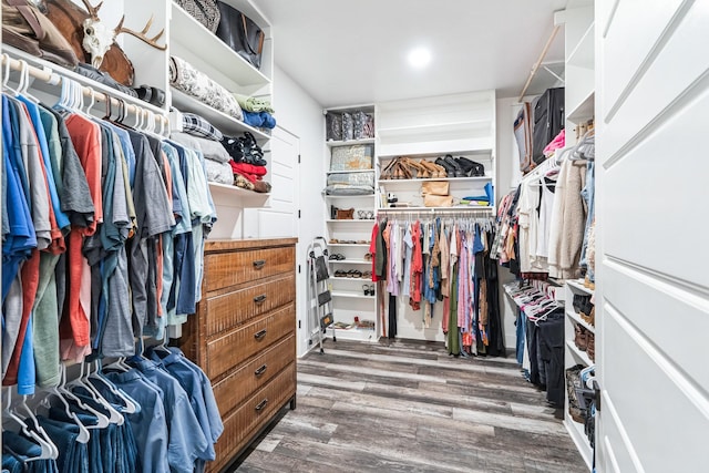 spacious closet featuring hardwood / wood-style flooring