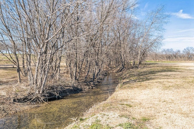 view of nature