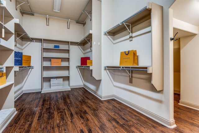 spacious closet featuring dark hardwood / wood-style floors