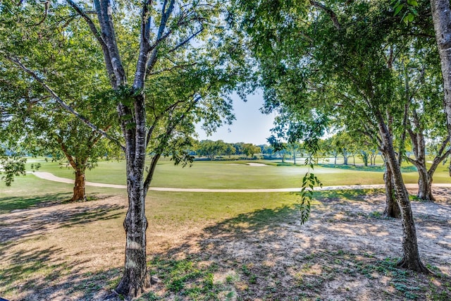 view of community featuring a yard