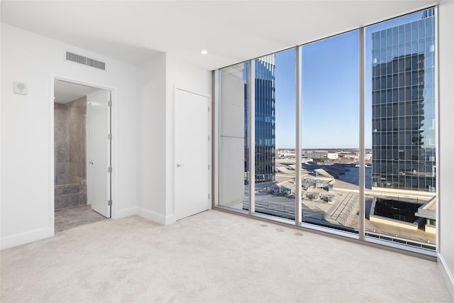 carpeted spare room featuring a wall of windows