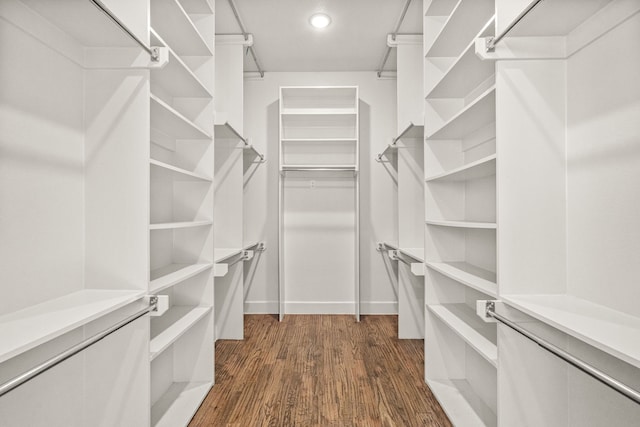 walk in closet featuring dark wood-type flooring