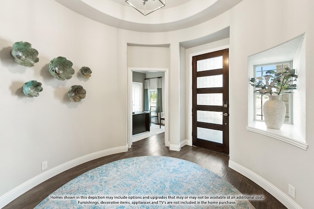 foyer with dark hardwood / wood-style floors