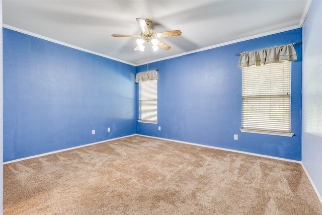 spare room with crown molding, a textured wall, a ceiling fan, carpet flooring, and baseboards