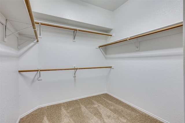 walk in closet with carpet