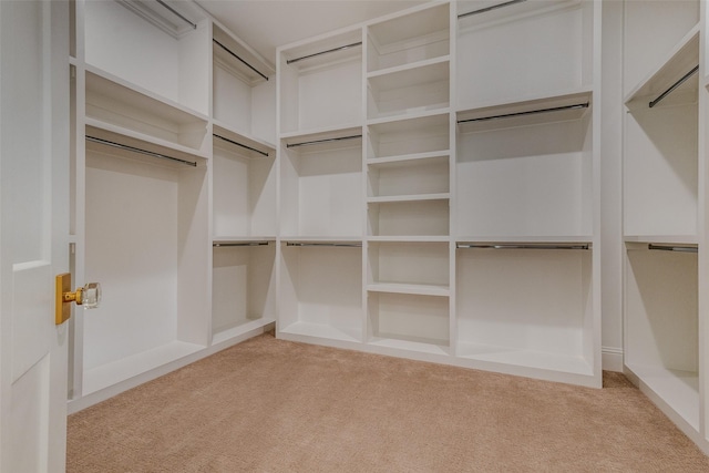 spacious closet with light colored carpet