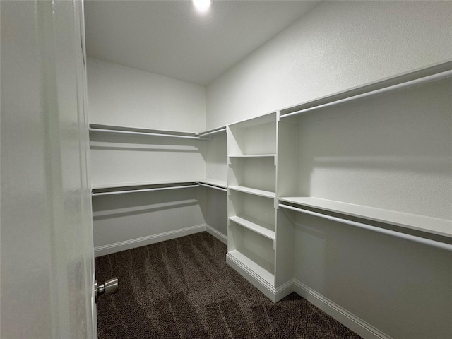 spacious closet with dark carpet