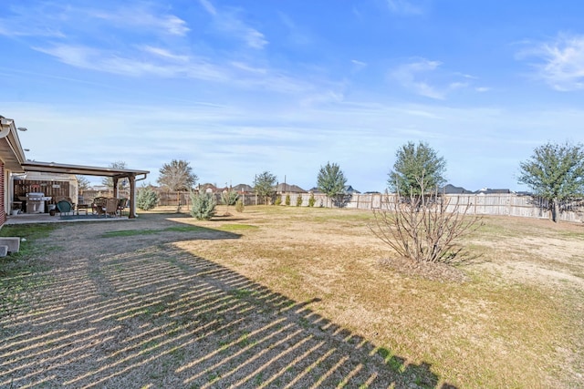 view of yard with a patio