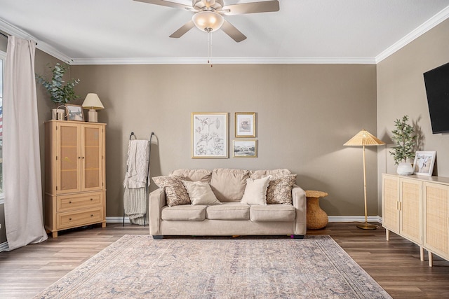 living room featuring ceiling fan, wood-type flooring, and crown molding