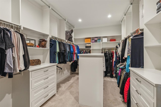 spacious closet with light colored carpet