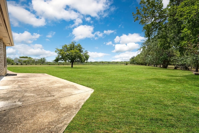 view of yard featuring a patio area