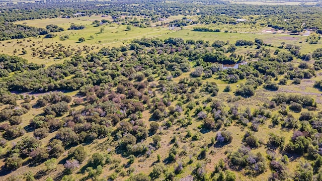 Listing photo 3 for 2760 Live Oak Rd, Santo TX 76472