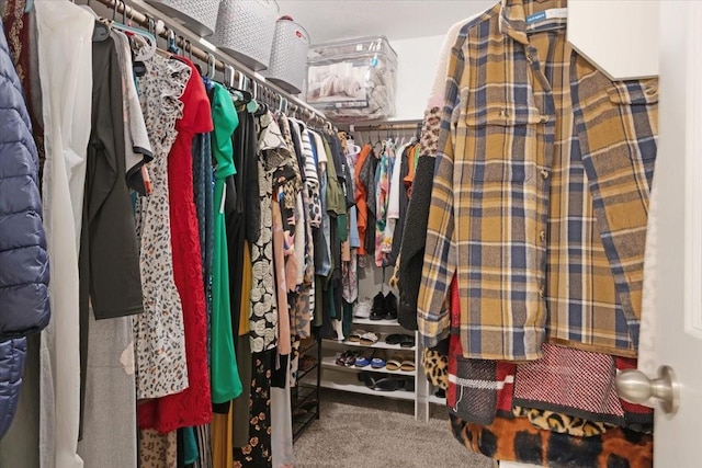 spacious closet with carpet floors