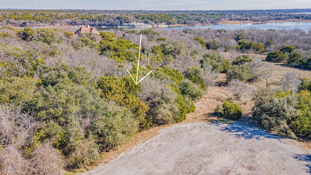 21051 Hill Terrace Ct, Whitney, TX 76692