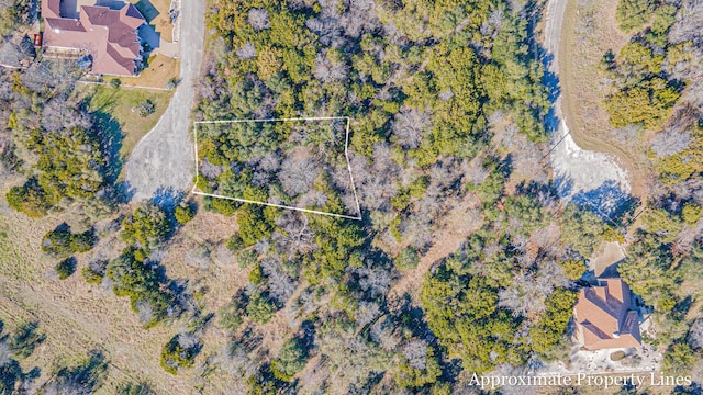 21051 Hill Terrace Ct, Whitney, TX 76692