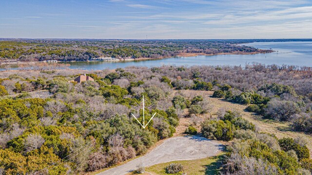 21051 Hill Terrace Ct, Whitney, TX 76692