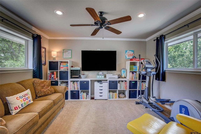 workout area with ceiling fan, crown molding, and carpet flooring