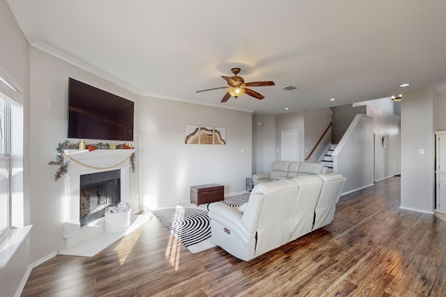 living room featuring ceiling fan, ornamental molding, and dark hardwood / wood-style flooring