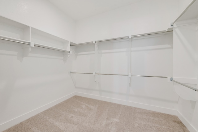 spacious closet featuring carpet floors