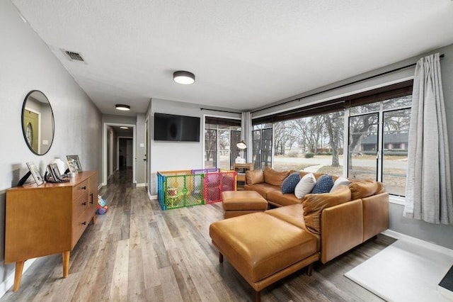 living room featuring wood-type flooring and a textured ceiling