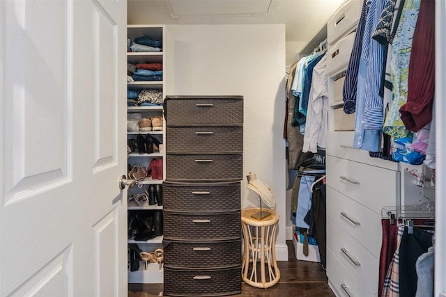 spacious closet with dark wood-type flooring