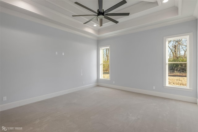 empty room featuring light carpet, plenty of natural light, baseboards, and a raised ceiling