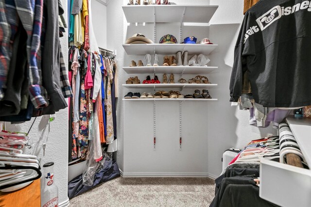 spacious closet with carpet flooring