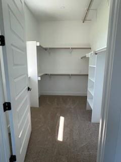 walk in closet with dark colored carpet