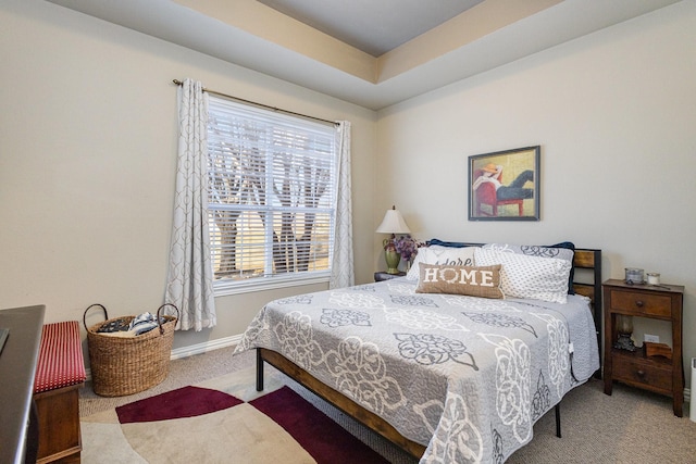 carpeted bedroom with a raised ceiling