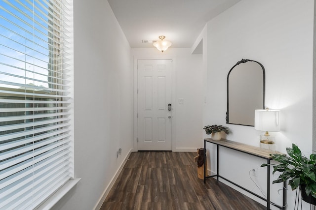 interior space with dark wood-type flooring