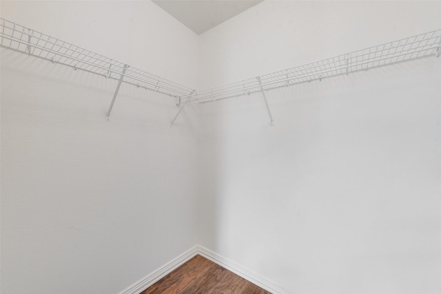 walk in closet featuring hardwood / wood-style flooring