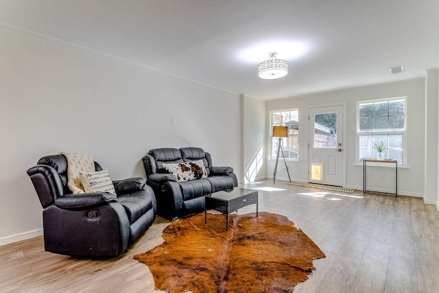 living room featuring light hardwood / wood-style flooring