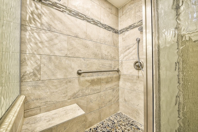 interior details featuring tiled shower