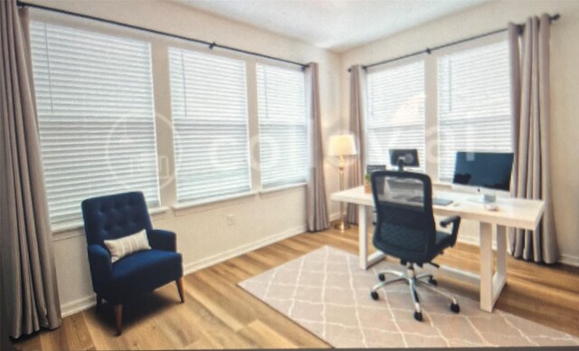 office space featuring wood-type flooring and plenty of natural light