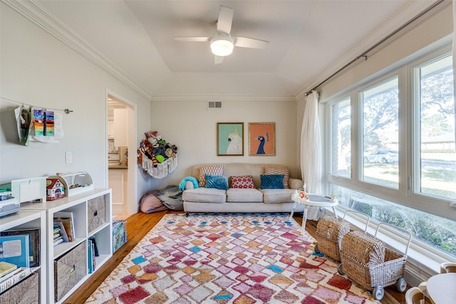 living room with ceiling fan, hardwood / wood-style floors, crown molding, and a raised ceiling