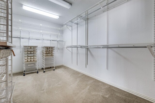 spacious closet with carpet