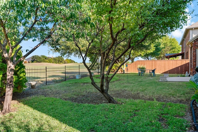 view of yard with a rural view