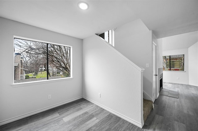 interior space featuring wood-type flooring and a wealth of natural light