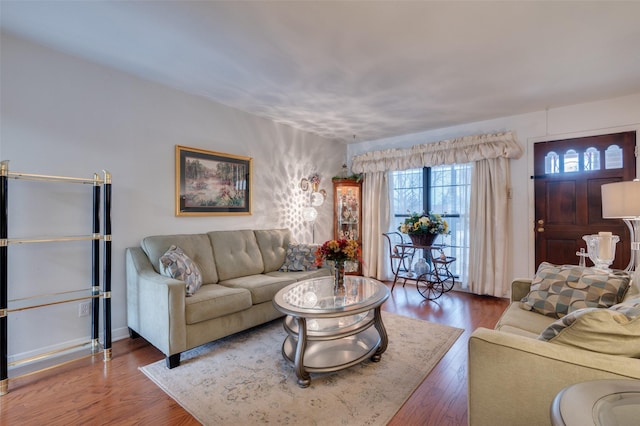 living room featuring hardwood / wood-style floors